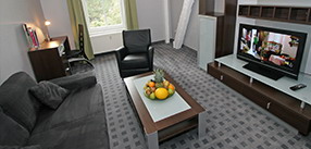 Zweiraum Apartment mit Küche
